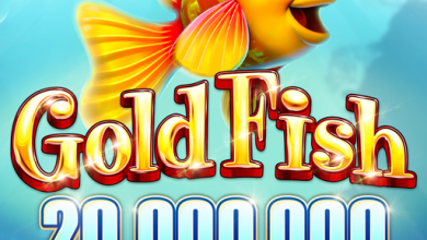 Photo of Gold Fish Casino Free Coins generator | Get on Hourly and Daily Basis