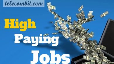 Photo of Best Paying Jobs In Property-Casualty Insurers