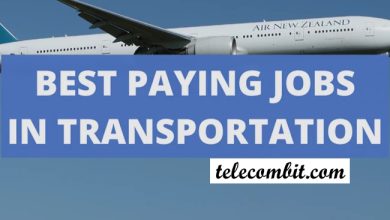 Photo of Best Paying Jobs In Transportation 2023
