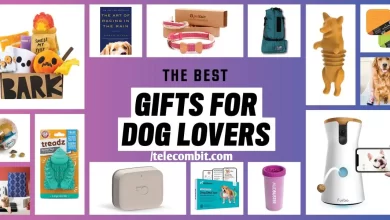 Photo of Best Gift For Dog Lovers In 2022 – telecombit.com