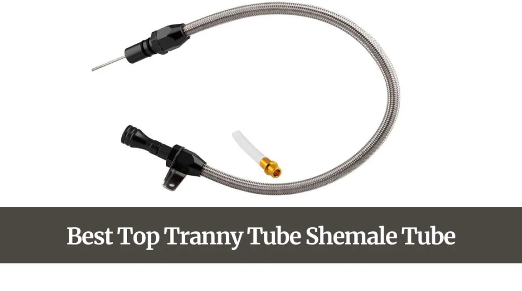 Describe Tranny Tube. (Shemale Tubes)
