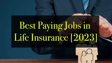 Photo of Best Paying Jobs in Life Insurance 2023