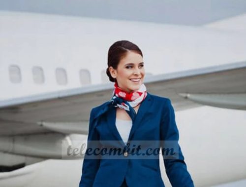 How much does a flight attendant make?