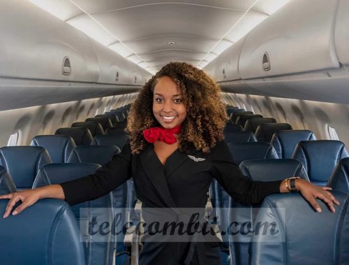 What are the flight Attendent needs?