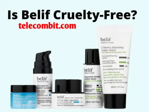 is belif cruelty free
