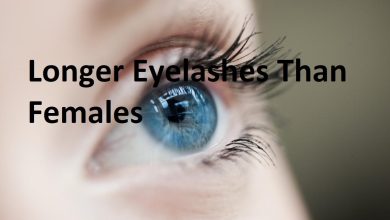 Photo of Why Do Guys Have Longer Eyelashes Than Females