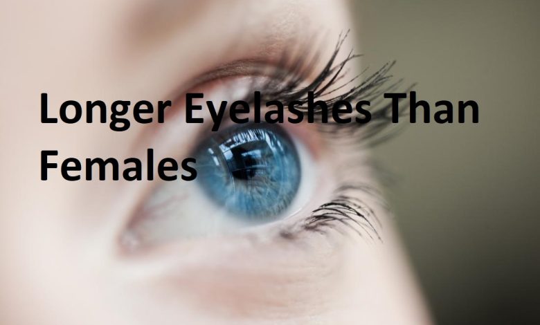 Why Do Guys Have Longer Eyelashes Than Females