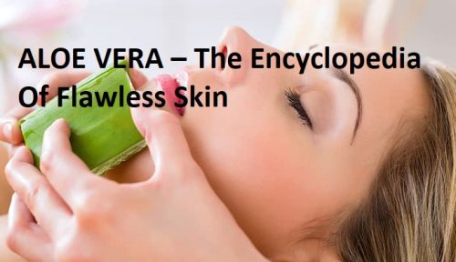 ALOE VERA – The Encyclopedia Of Flawless Skin
