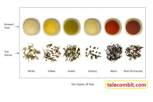 How Is White Tea Different From Other Teas? WHITE TEA – The Encyclopedia Of Flawless Skin