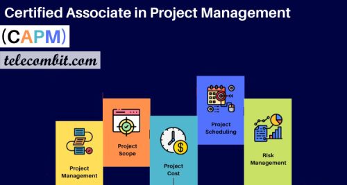 Certified Associate In Project Management (CAPM) 