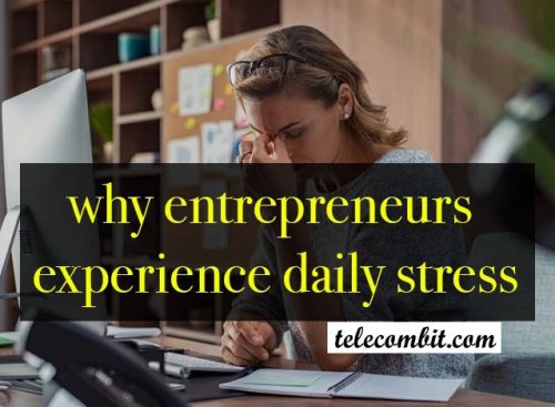 Why Entrepreneurs Experience Daily Stress 