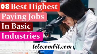 Photo of Best Paying Jobs in Basic Industries 2023