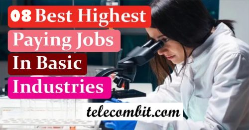 Best Paying Jobs in Basic Industries 2023 | Highest Paying Jobs In Basic Industries