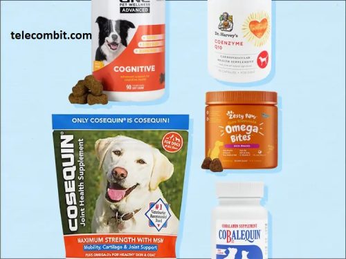 The Role of Supplements in Pet Nutrition- telecombit.com