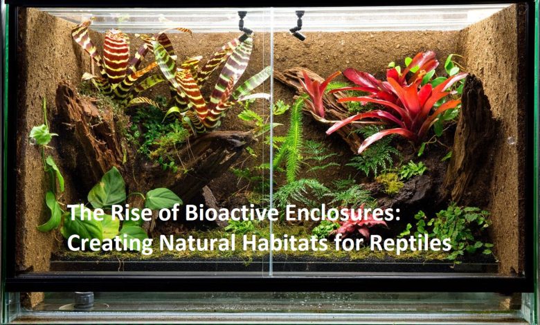 The Rise of Bioactive Enclosures: Creating Natural Habitats for Reptiles