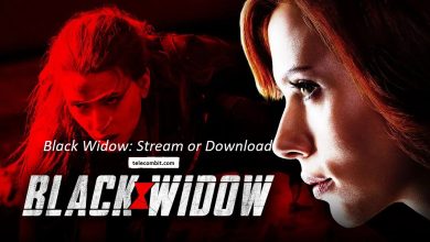 Photo of Black Widow: Stream or Download