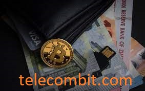 Make 0.1 BTC every day. Click here to learn how.