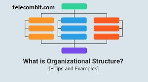 Structure and Organization- telecombit.com Exploring the World of Writing: A Comprehensive Guide to Key Writing Terms and Services