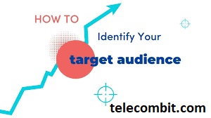 Know Your Target Audience- telecombit.com