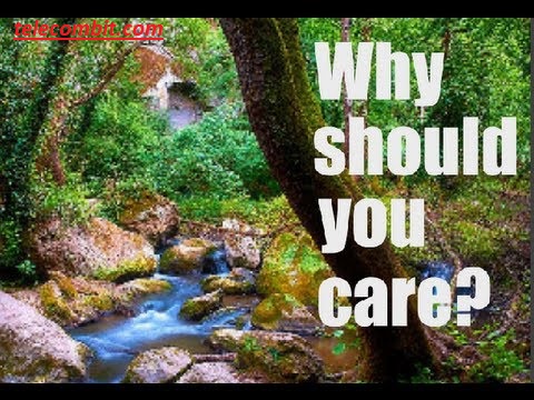 Why Should You Care?-telecombit.com