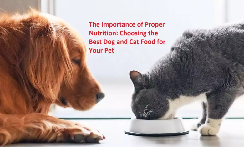 The Importance of Proper Nutrition: Choosing the Best Dog and Cat Food for Your Pet