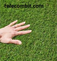 Promoting Grass Growth and Health- telecombit.com