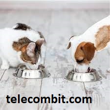 Exploring Special Dietary Requirements- telecombit.com