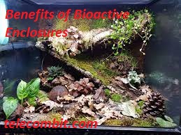 Benefits of Bioactive Enclosures- telecombit.com