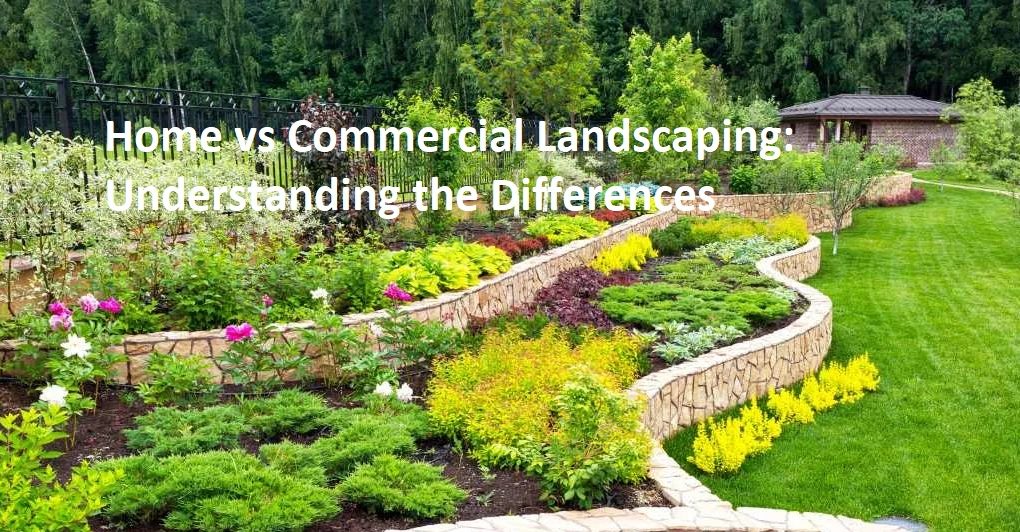Home vs Commercial Landscaping: Understanding the Differences