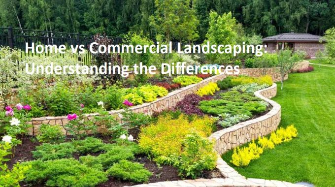 Home vs Commercial Landscaping: Understanding the Differences