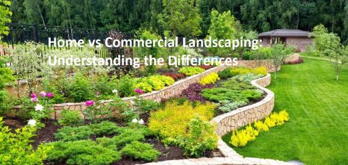 Home vs Commercial Landscaping: Understanding the Differences