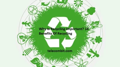 Photo of Why Is Recycling Important? 10 Benefits Of Recycling