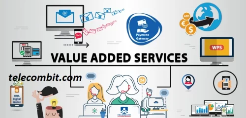 Customization and Value-added Services- telecombit.com