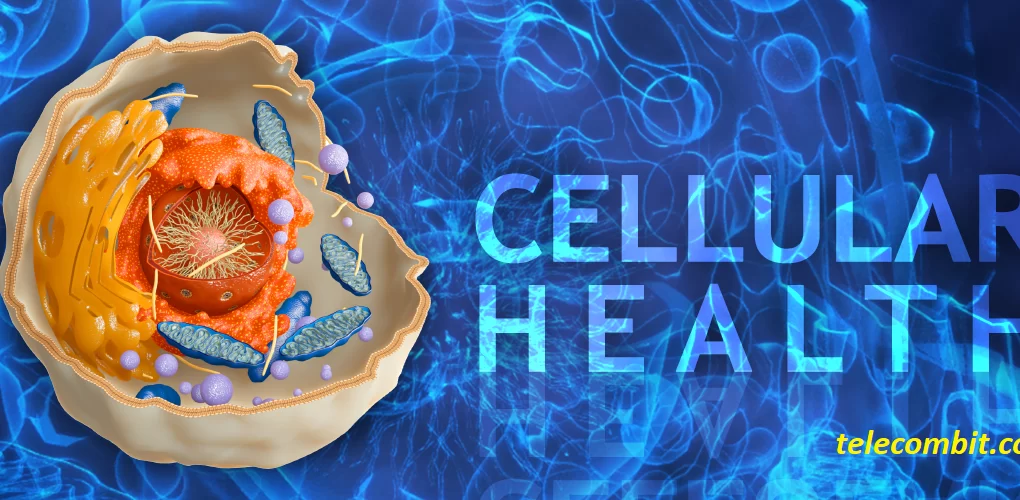 Enhanced Cellular Health-telecombit.com