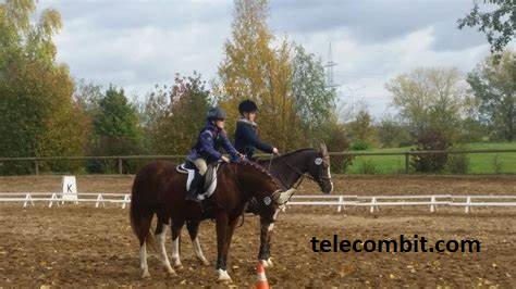  Evaluate the Riding Experience-telecombit.com