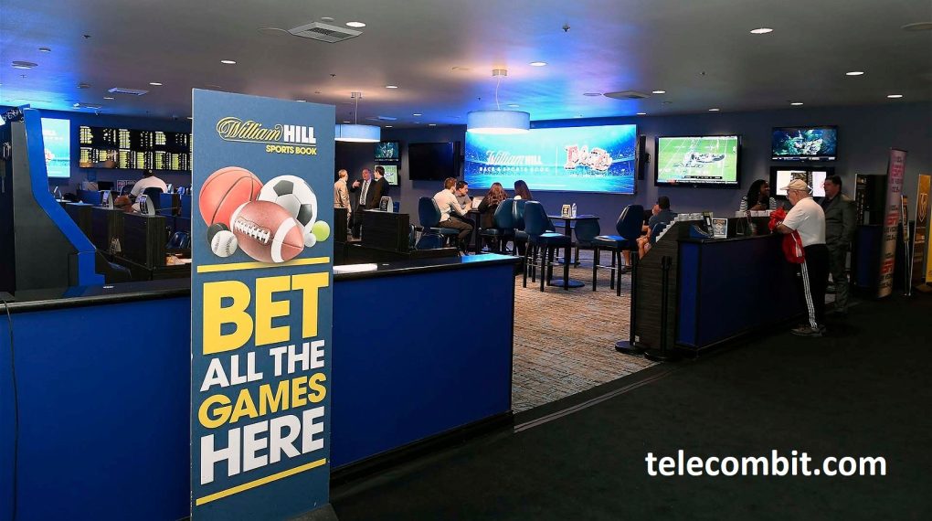 Innovative and Successful Companies in the Sports Betting Space