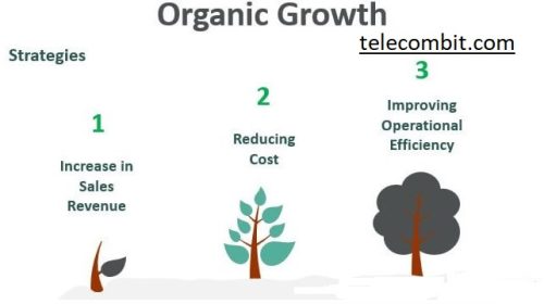  Authenticity and Organic Growth-telecombit.com