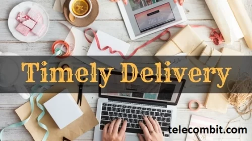 Timely Delivery and Submission-telecombit.com