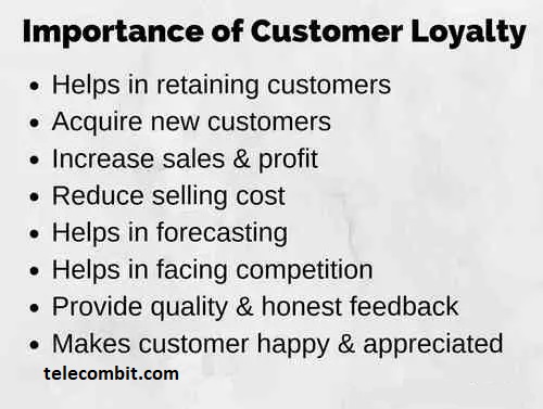 Understanding the Importance of Customer Loyalty-telecombit.com