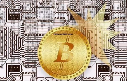 Authority Of Bitcoin: Why You Should Buy And Hold BTC In The Lengthy Term-telecombit.com