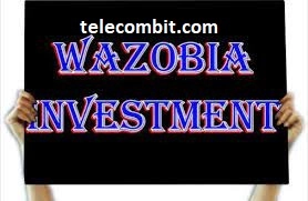 Benefits of Wazobia Investment Login-telecombit.com