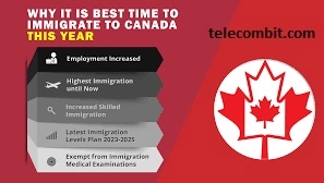 Best Time for Immigration-telecombit.com
