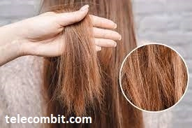 How to Protect Your Hair from Damage-telecombit.com