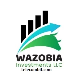 Key Features of Wazobia Investment Login-telecombit.com