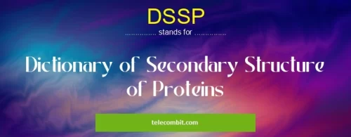 Understanding DSSP-telecombit.com