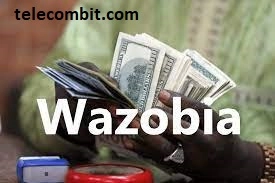 Understanding Wazobia Investment Login-telecombit.com