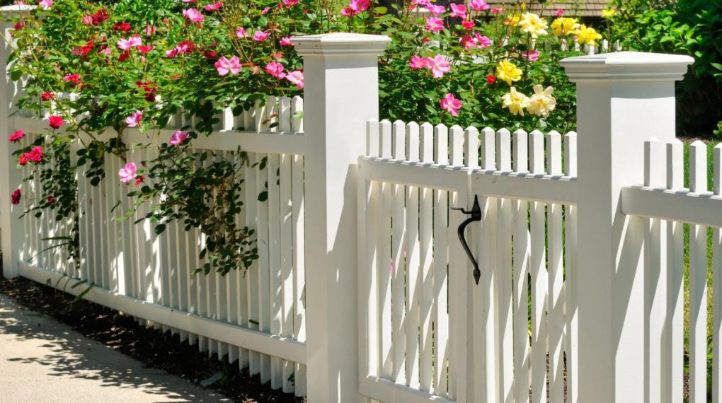 fence landscaping ideas