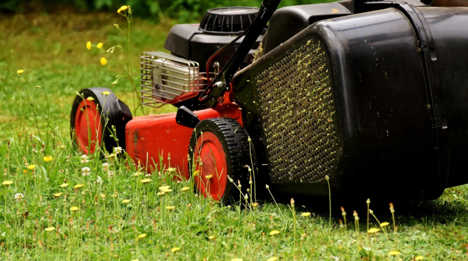 How to Choose Lawn Care Providers: Everything You Need to Know