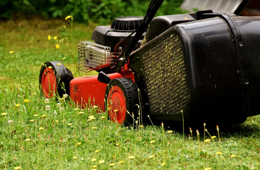 How to Choose Lawn Care Providers: Everything You Need to Know
