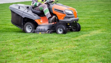 Photo of Top Three Ways to Prepare for Mowing After Overseeding